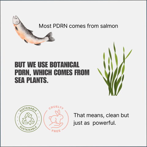 식물성 PDRN