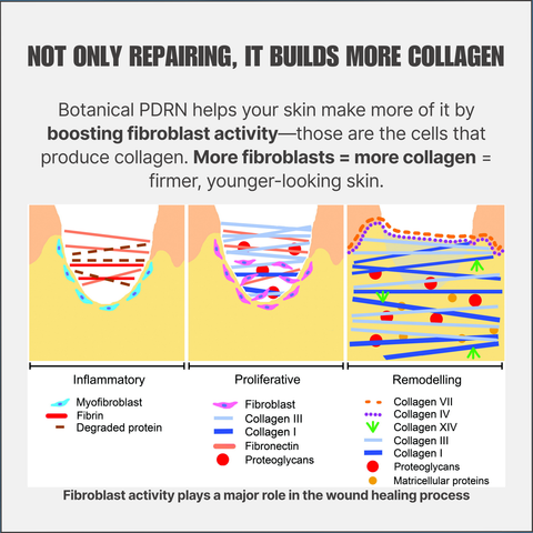 식물성 PDRN