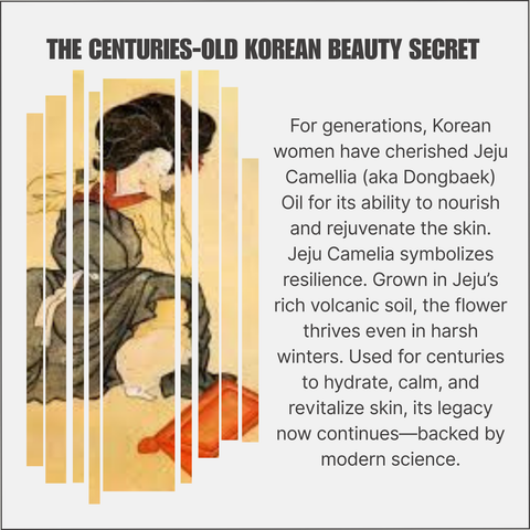 제주 동백 오일