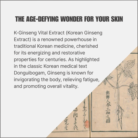K-인삼 생명 추출물