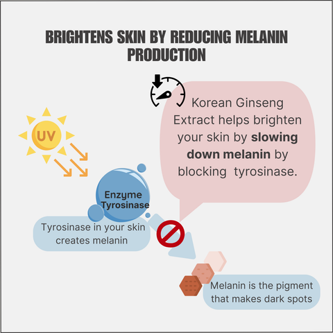 K-인삼 생명 추출물