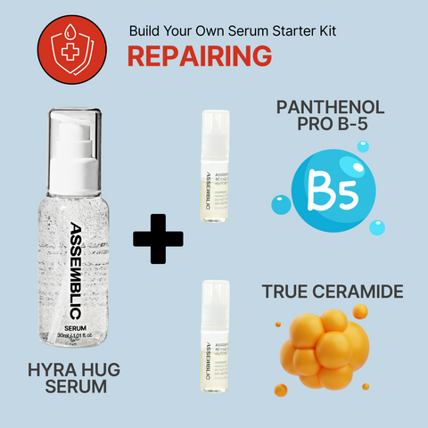 Repairing Starter Kit